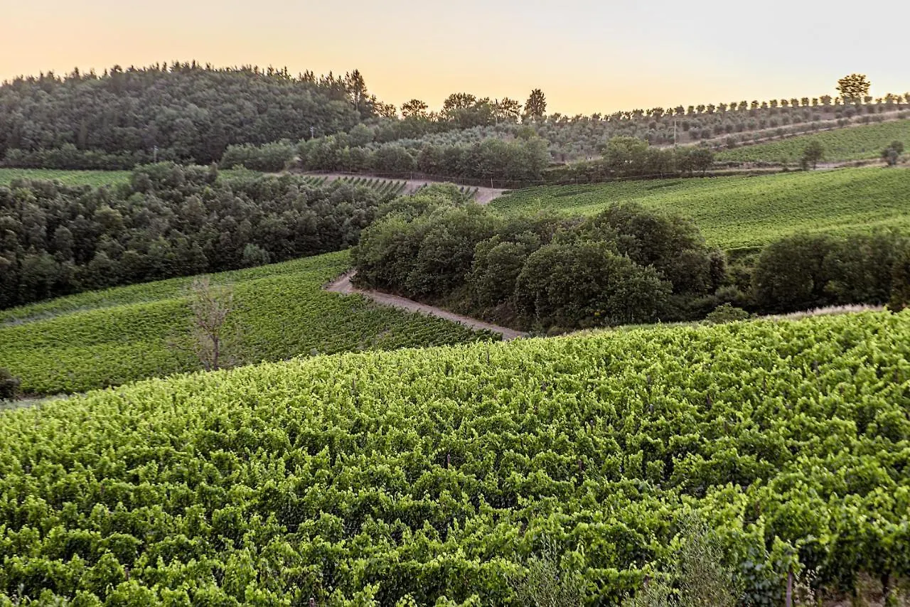Gospodarstwo agroturystyczne Willa Agriturismo Concadoro Castellina in Chianti Włochy